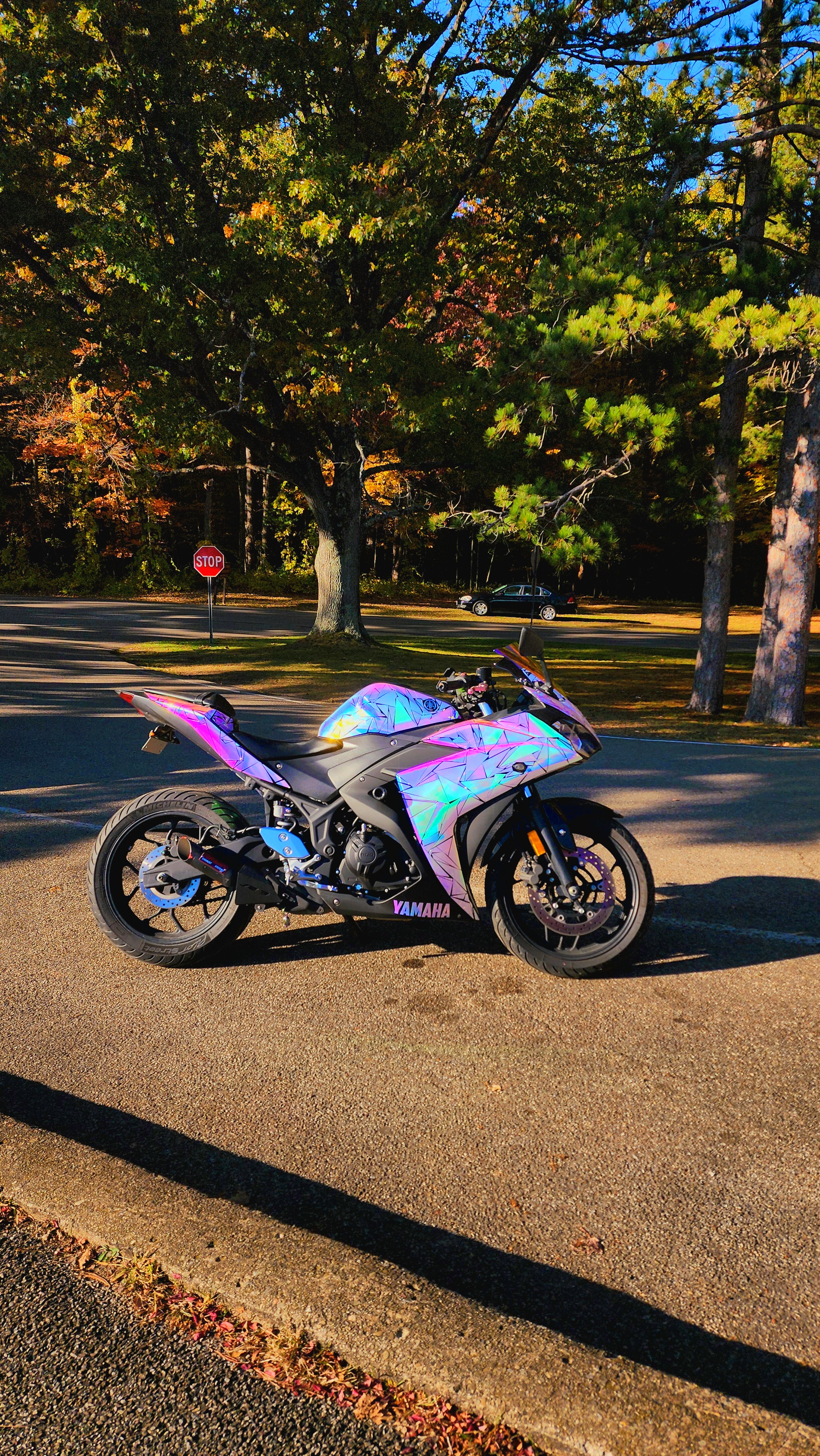 Brianna Campbell with 2015 Yamaha R3 Abs